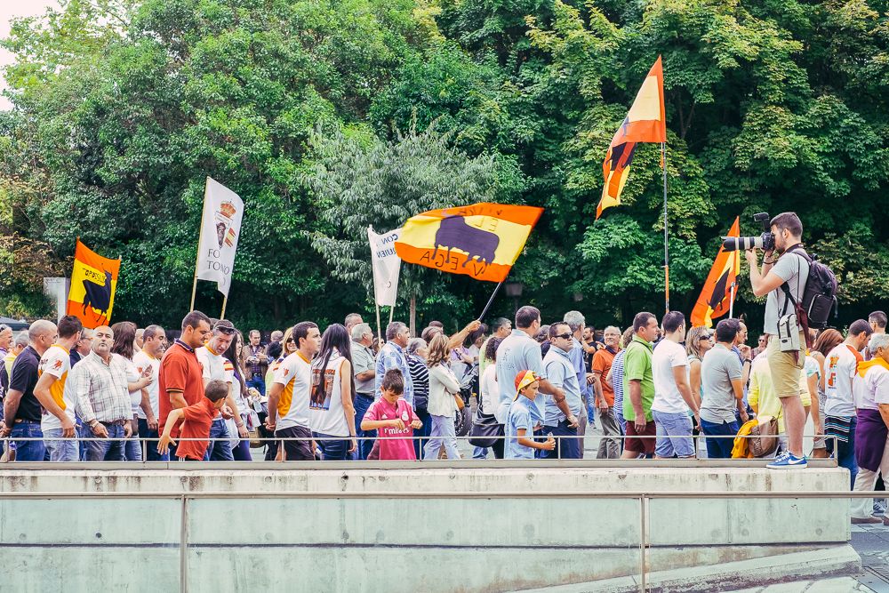 Toro de la Vega manifestación